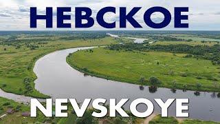 Деревня Невское / обзор сверху Солецкий район Новгородская область