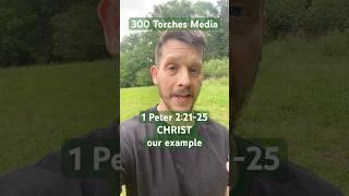 TWO WAYS LIKE CHRIST! #peter #bible #bibleverse #christ #example #suffering #trust #trustingod