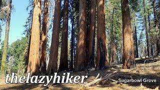 Sugarbowl and Hart Tree Loops in Two Minutes - Kings Canyon National Park - Redwood Canyon