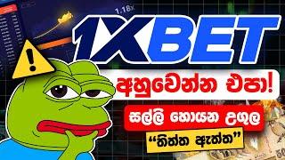 The Dark Truth Behind 1xBet: The Hidden Risks You Need to Know