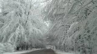 Dreamy Snowy road, Ardennes Belgium, #europe