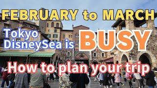 How busy is Tokyo DisneySea? Latest Planning Guide | You can get the tips you might not know