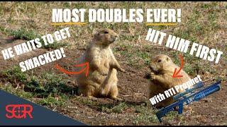PRAIRIE DOG HEADSHOT EXTRAVAGANZA! RTI Prophet in .22 CAL with H&N SLUGS hits so HARD
