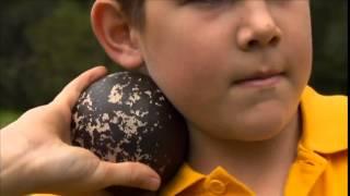 Getting Started with Shot Put and Discus // LAVicTV
