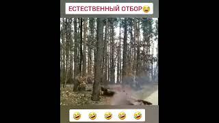 https://ok.ru/group/62392808308951ufc..mma..tophttps://vm.tiktok.com/ZSdddCaMT/