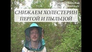 Снижаем холестерин пергой и пыльцой