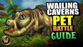 Wailing Caverns - Pet Battle Dungeon Walkthrough // World of Warcraft