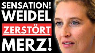 UNFASSBAR! CDU SCHEITERT KLÄGLICH - AfD MIT UMFRAGEHAMMER in OSTDEUTSCHLAND