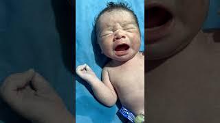 Chubby girl in the world god bless you baby#adoreble #cute#cutebaby #viralvideo # newborn vedio