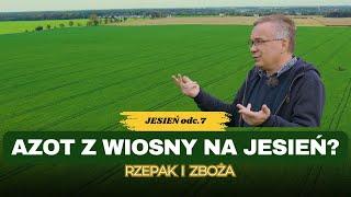 Wiosenna dawka azotu już na jesień?! Zboża i rzepak ozimy - porady prof. Szczepaniaka | e-pole