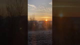 Explore the Nature #safari  #travel #youtube short