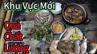 #3 Hành Trình Đi Rừng : Khu Vực Mới Và Những Chiếc Bẫy Đầy May Mắn - RỪNG THƯỜNG XUÂN