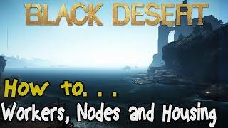 Black Desert Online: Workers, Nodes and Housing Guide