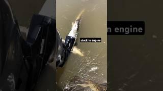 stuck in engine