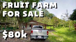 Fruit Farm For Sale - Southern Thailand 