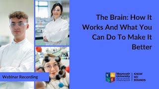 The Brain: How It Works And What You Can Do To Make It Better