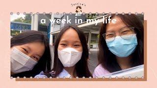 A week in Jessica's life as an SP international student