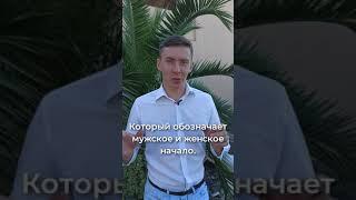 Что означает Инь-Янь? #мужскоеженское #иньянь #славянин #значениеслов #этимология