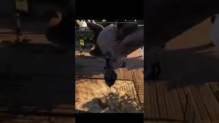 Goat Simulator 3 - КАК ПОЛУЧИТЬ ОБРАЗ НОСОРОГА - симулятор козла 3 #shorts