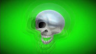 New skull face green screen video | skull face template