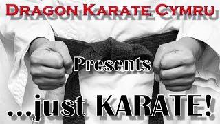 ... just Karate! The First 3 Months of Dragon Karate Cymru