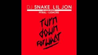 DJ Snake Feat Lil Jon & Pitbull & Ludacris (Remix)