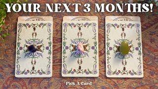 What's Going On For You For The Next 3 Months! *Timeless* Pick A Card | Tarot Reading
