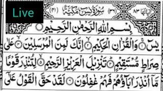 Islamic 786 is live!