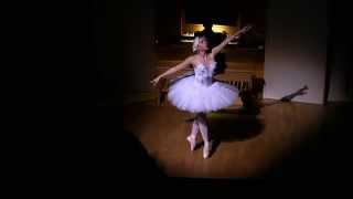 К Сен Санс Лебедь / Camille Saint Saens The Swan