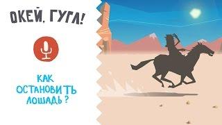 Окей, гугл! Как остановить лошадь? (пародия на рекламу "Ok, google!")