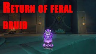 Return of the feral druid - Feral druid pvp dragonflight 10.2.5