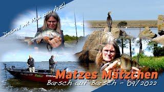 Matze Koch: Barsch auf Barsch auf 2000ha  - Matzes Mätzchen 09-2022