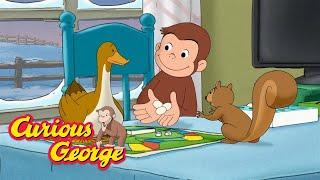 The Perfect Animal Sleepover  Curious George  Kids Cartoon  Kids Movies