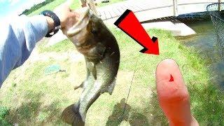 This GIANT Bass DESTROYED My Thumb! - Fishing for More Big Bass