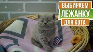 Как выбрать домик для кошки  Лежанка для кота