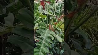 https://dzen.ru/video/watch/665c10b309ad8755b3142062