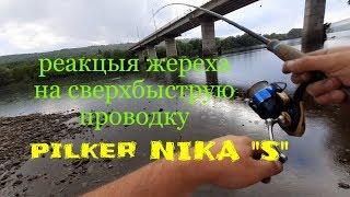 Реакція жереха на швидку проводку pilker Nika "S" на Дністрі