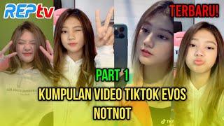 TERBARU! KUMPULAN VIDEO TIKTOK EVOS NOTNOT - FULL VIDEO | PART 1