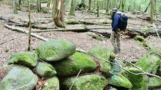 As soon as we crossed the ancient rock wall the metal detector went off