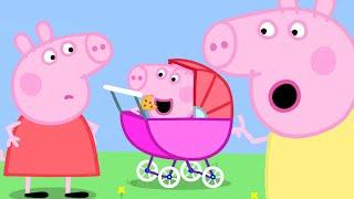 | George Pig Becomes a Baby Piggy