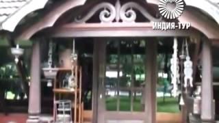 Coconut Lagoon  mp4
