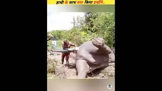 what happened to this elephant #viral