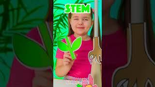 Let's learn  about different parts of the body  #learning #kidsvideo