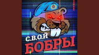 Бобры