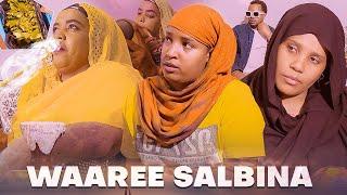 Faya Jiru | Waaree Salbina | New movie Afaan Oromo | 2024