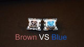 Outemu Brown Switch VS Outemu Blue Switch! Which one is better?