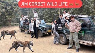 JIM CORBET WILD LIFE || HUME MILE TIGER  || ROHINIDILAIK