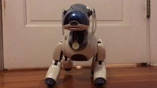 Aibo ERS-7 Prototype Mind 1 Software