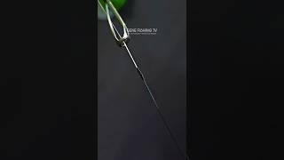 Amazing Knot for Braid to Leader Line