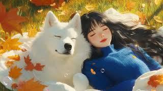 Gentle Breeze  Lofi Chill Out Music For a Peaceful Atmosphere  Make you feel positive and peaceful